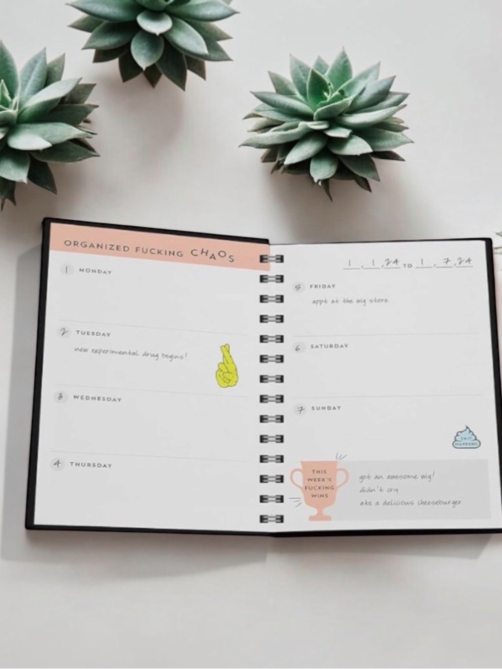 Motivational Organizer & Planner, NWT - Picture 4 of 5